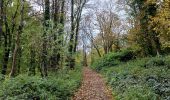 Trail Walking Anhée - Randonnée pédestre Abbaye Maredsous - Photo 13