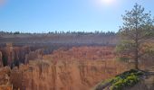 Tocht Stappen Unknown - 2024 Bryce Canyon Rim Trail - Photo 1