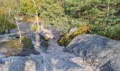 Trail Walking Fontainebleau - Sentier Denecourt 7 - Photo 6