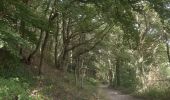 Randonnée Marche Flémalle - entre Sous les Roches et Aigremont  - Photo 6