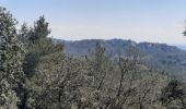 Tour Wandern Tarascon - CR_Domitia_BA_23_Tarascon_St-Remy-Provence_20220404 - Photo 5