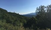 Trail Walking Saint-Pierre-Saint-Jean - Pujol  - Photo 2