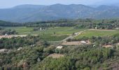 Tocht Stappen Roquebrune-sur-Argens - Cimetière de Roquebrune - Pont de Verne - Les 3 Croix - Photo 1