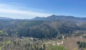 Percorso  Oberhaslach - Camping de luttenbach châteaux  - Photo 1