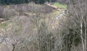 Tour Wandern Büllingen - Rocherath (Rocher de Bieley) 12 Km - Photo 8