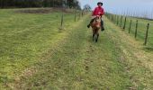 Trail Horseback riding Saint-Martin - Tivio kaline changer au milieu  - Photo 7