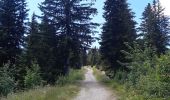 Trail Walking Morzine - balade des crêtes : Avoriaz . belvédère du lac de Montriond . croix des combes . Avoriaz - Photo 11