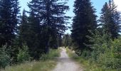 Tour Wandern Morzine - balade des crêtes : Avoriaz . belvédère du lac de Montriond . croix des combes . Avoriaz - Photo 11