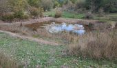 Trail On foot Mazaugues - Mazaugues-Mourre d'Agnis-23-10-2024 - Photo 2