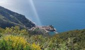 Trail Other activity Vernazza - Vernazza to Monterosso to Vernazza  - Photo 15