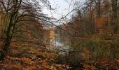 Tour Wandern Sint-Genesius-Rode - Rhode St Genèse 1119 - Photo 11