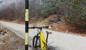 Trail Mountain bike Bédoin - Randuro sous les sapins blancs - Photo 6
