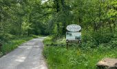 Trail Walking Renwez - Parc naturel régional des Ardennes - Photo 6