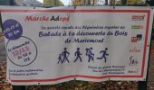 Percorso Marcia Morlanwelz - Promenade ADEPS Mariemont - Photo 3