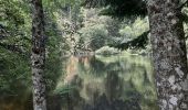 Tour Wandern Mittlach - Mittlach 17/06/23 - Photo 2