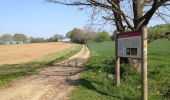 Tocht Te voet Immenhausen - Eco Pfad Ahlberg-Mariendorf - Photo 2