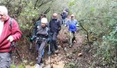 Randonnée Marche Saint-Raphaël - Les Ferrières - Photo 9