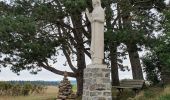 Excursión Senderismo Salles-Curan - La Vierge des lacs - Pareloup - Photo 2