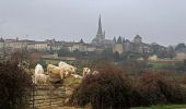 Randonnée A pied Autun - La Croix de la Libération - Photo 4