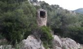 Tocht Stappen Le Revest-les-Eaux - Le Mont Caume-17-03-21 - Photo 14