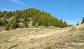 Tour Wandern Ceillac - crête du Riou vert  - Photo 1