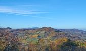 Trail On foot Borgoratto Mormorolo - Anello di Borgoratto - Photo 10