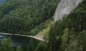 Excursión A pie St. Wolfgang im Salzkammergut - Sattelweg - Photo 8