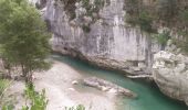 Percorso Marcia La Palud-sur-Verdon - sentier blanc Martel depuis Chalet les Malines - Photo 14