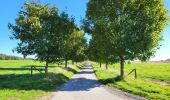 Trail Walking Hamois - Hamois 070923 - Photo 6