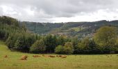 Tocht Stappen Malmedy - Malmedy (Bévercé - Ferme Libert- Mont - Chôdes) - Photo 3