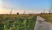 Tour Zu Fuß Lelystad - Zeearendroute - Photo 3