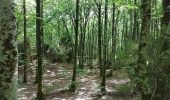 Randonnée Marche Lauroux - Labeil - Forêt de l'Escandorgue - Photo 6