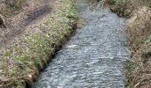 Tocht Stappen Chaumont-Gistoux - #240216 - Bonlez, Aftia, Bruyères, Champ des Goffes - Photo 3