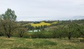 Tour Wandern Mirabel - Autour de Mirabel - Photo 10