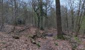 Trail Walking Neupré - beauregard . roche aux faucons . famelette . beauregard - Photo 6