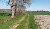 Trail Walking Notre-Dame-de-Bliquetuit - Notre Dame de Bliquetuit vers l'Armada 18km -sans photos - Photo 16