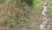 Trail Walking Bassenge - Fort Eben-emael 11 Km  - Photo 8