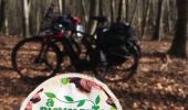 Trail Hybrid bike Orrouy - Balade vélo entre pierrefond et compiegne  - Photo 2
