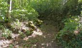 Trail Walking Aymavilles - la pinetta pont ael - Photo 1