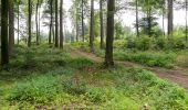 Tocht Te voet Blomberg - Nelkenweg Zubringer 1 - Photo 3