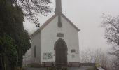 Trail Walking Vianden - Les panoramas de Vianden  - Photo 10