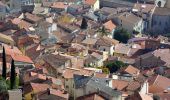 Excursión Senderismo La Crau - Fenouillet - Chateau de Hyères - retour par les vignes - Photo 13