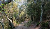 Trail Walking Taillet - notre dame del roure .  taillet . Notre dame del roure  - Photo 8