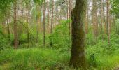 Randonnée A pied Märkische Heide - Wanderweg Richtung Dürrenhofe, Krugau - Photo 1