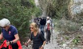 Tour Wandern Cheval-Blanc - PF-Cheval-Blanc - La Roquette - Le Trou du Rat - MDu - Photo 6