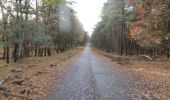 Excursión A pie Brüggen - NSG Brachter Wald Wanderweg Weiß - Photo 6