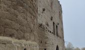 Tour Wandern Mittelbergheim - Boucle des châteaux d'Andlau et du Sepsbourg - Photo 16