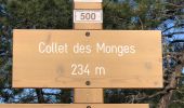 Trail Walking Mandelieu-la-Napoule - de Mandelieu à Boulouris - Photo 7