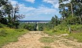 Tocht Stappen Fontainebleau - Fontainebleau sentier Denecourt 9 Est - Photo 1