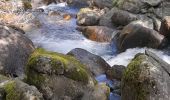 Randonnée Marche Thuès-Entre-Valls - gorges de caranca - Photo 2